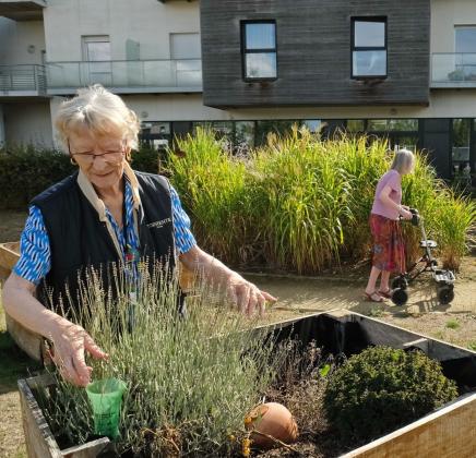 Potager thérapeutique dans un ehpad de VYV 3 Normandie