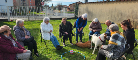 Header Médiation animale